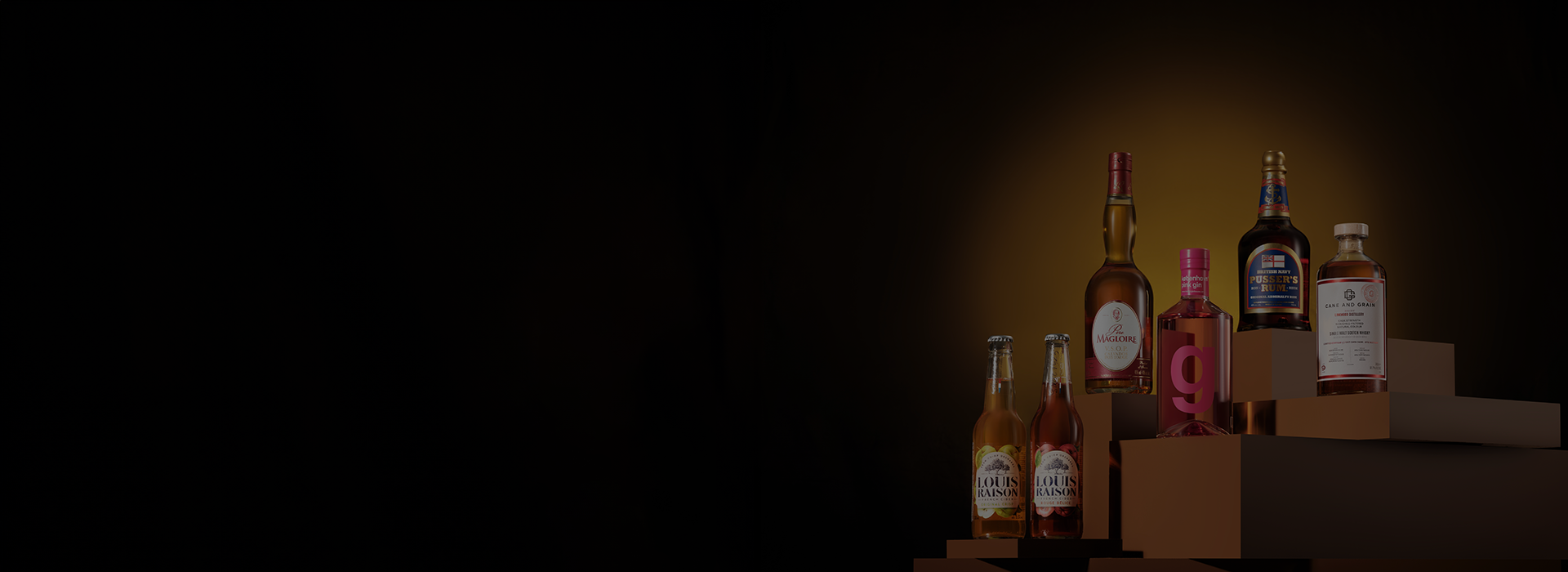 brand portfolio
